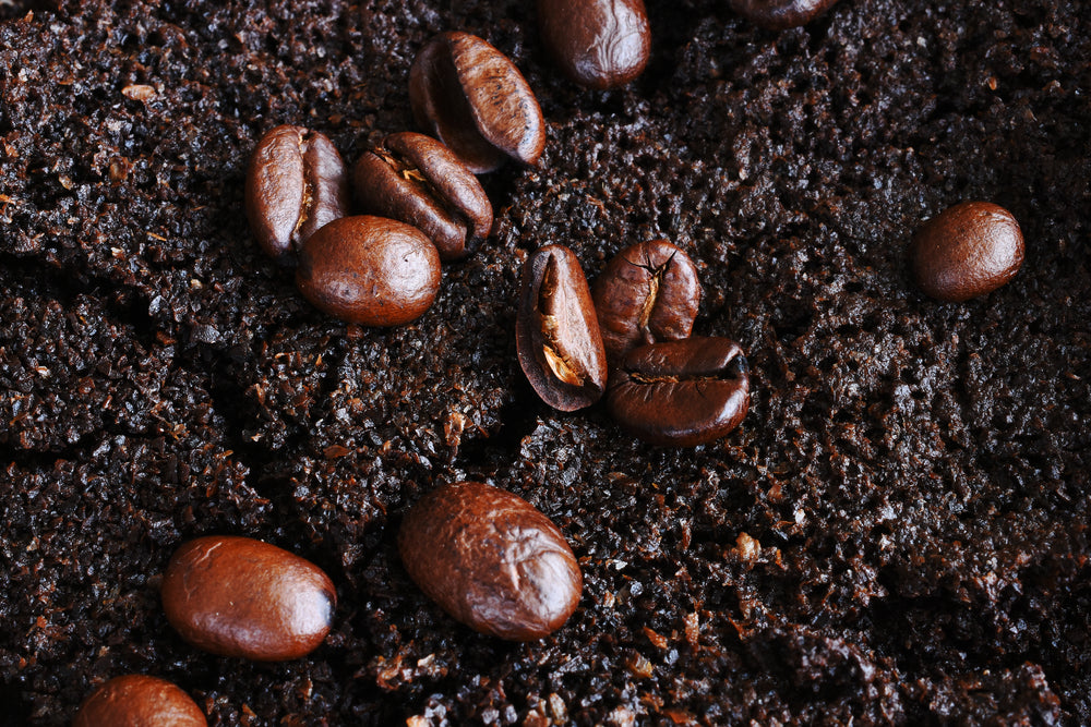 Can Coffee Beans Be Composted? Tripod Coffee