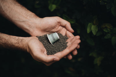 Difference Between Compostable, Biodegradable, & Recyclable Pods