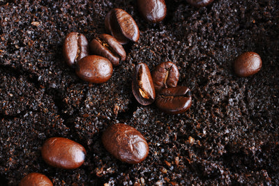 Can Coffee Beans Be Composted?