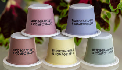 Exploring Compostable v Biodegradable Coffee Pods