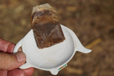 Are Tea Bags Compostable?