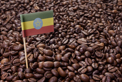 What Is Yirgacheffe Coffee? Ethiopia's Finest Coffee