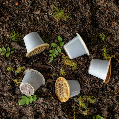 Tripod image of compostable pods decomposing