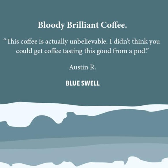 Testimonial Blue Swell Review